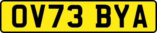 OV73BYA