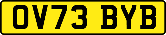 OV73BYB