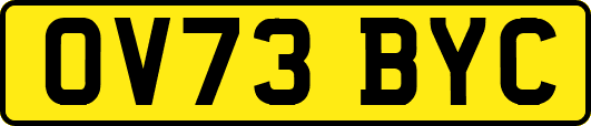 OV73BYC