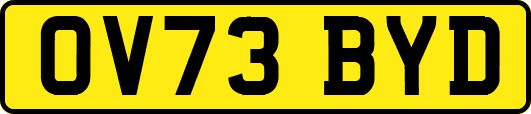 OV73BYD