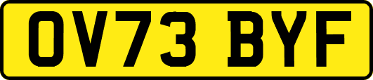 OV73BYF