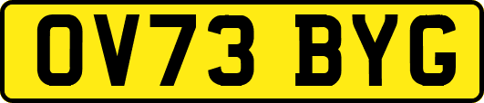OV73BYG