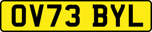 OV73BYL