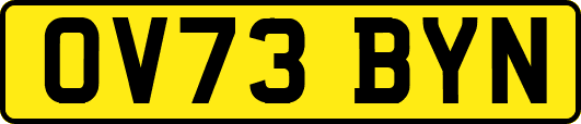 OV73BYN