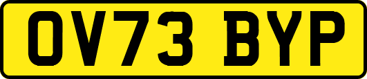 OV73BYP