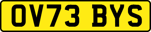 OV73BYS