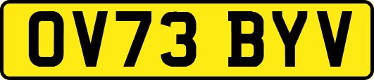 OV73BYV