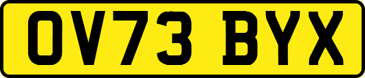 OV73BYX