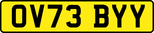 OV73BYY