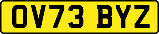 OV73BYZ