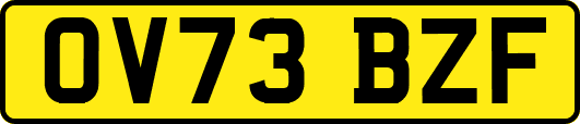 OV73BZF