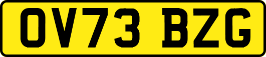 OV73BZG