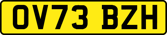 OV73BZH