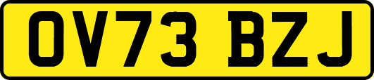 OV73BZJ