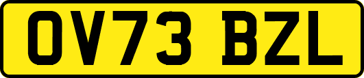 OV73BZL