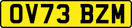 OV73BZM
