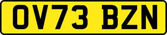 OV73BZN