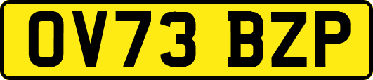 OV73BZP