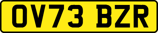 OV73BZR