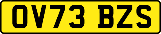 OV73BZS