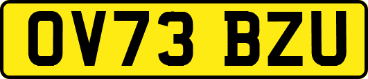 OV73BZU