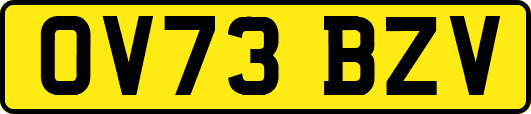 OV73BZV