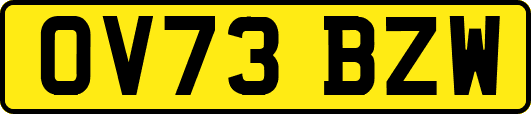 OV73BZW