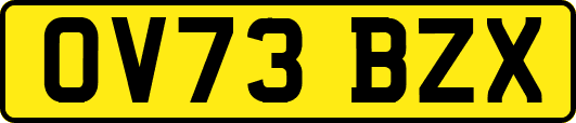 OV73BZX