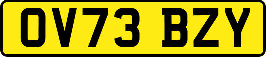 OV73BZY