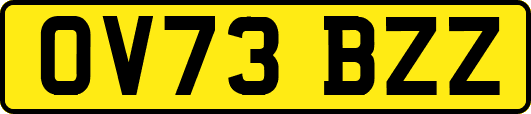 OV73BZZ
