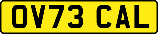 OV73CAL
