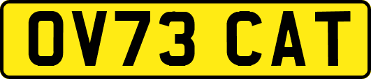 OV73CAT
