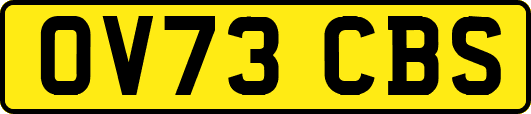 OV73CBS