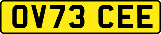 OV73CEE