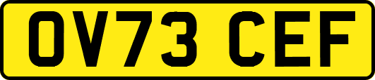 OV73CEF