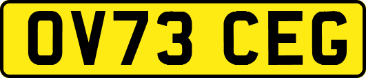 OV73CEG