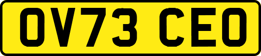 OV73CEO