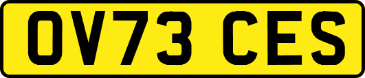 OV73CES