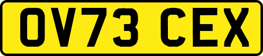 OV73CEX