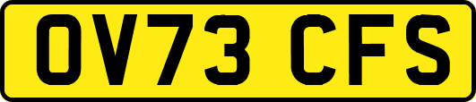 OV73CFS