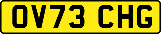 OV73CHG