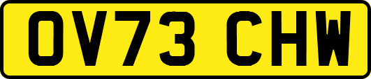 OV73CHW