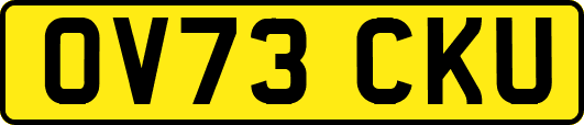 OV73CKU