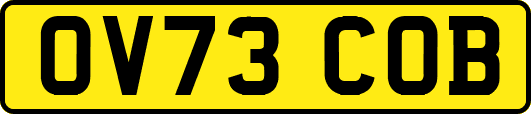 OV73COB