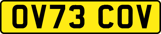 OV73COV