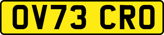 OV73CRO