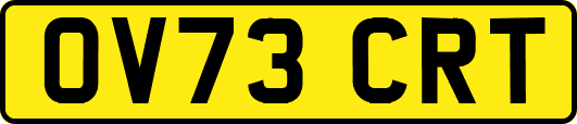 OV73CRT