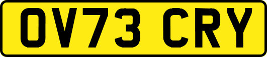 OV73CRY
