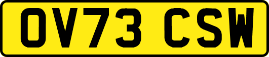 OV73CSW