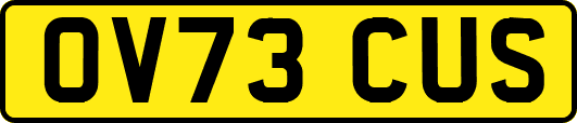 OV73CUS